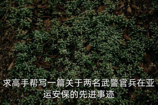 求高手幫寫一篇關于兩名武警官兵在亞運安保的先進事跡