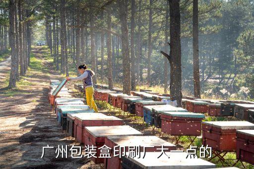廣州包裝盒印刷廠大一點的
