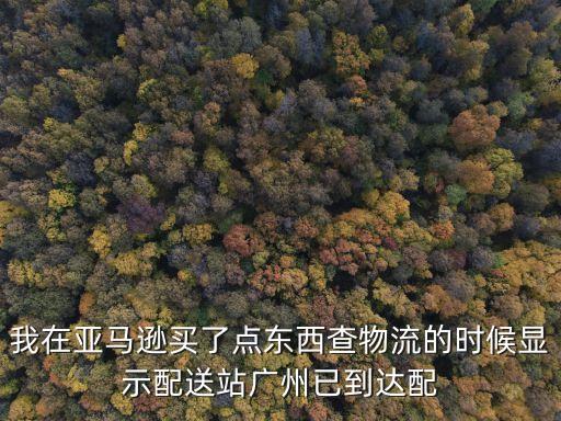 亞馬遜物流 廣州，在美國的網(wǎng)站上買東西如何寄到中國的廣州