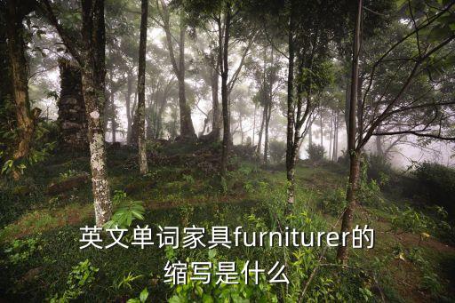 英文單詞家具furniturer的縮寫是什么