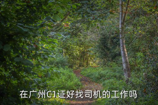 在廣州C1證好找司機(jī)的工作嗎