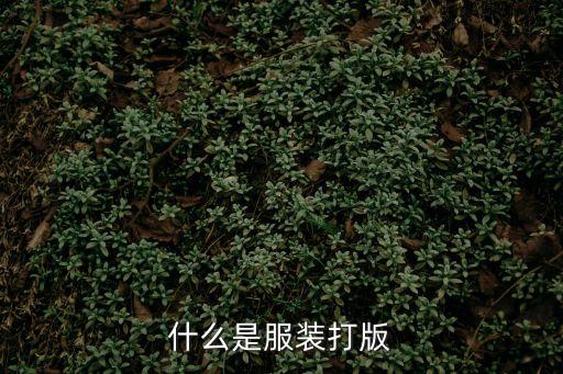 廣州東麗面料，戶外沖鋒衣哪個品牌的還一些呢要求價格不要太貴的