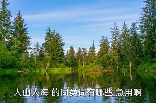 人山人海的近義詞，人山人海的近義詞是什么