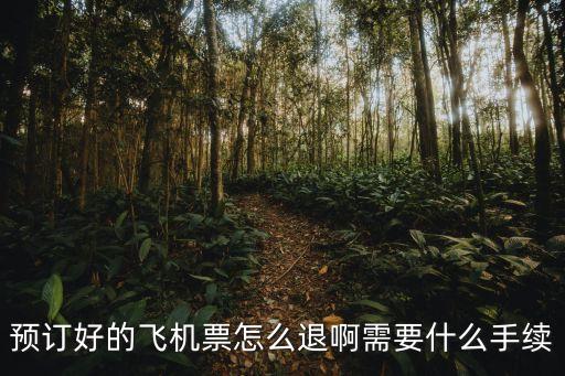 預訂好的飛機票怎么退啊需要什么手續
