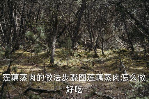 蓮藕蒸肉，蓮藕蒸肉的做法步驟圖蓮藕蒸肉怎么做好吃