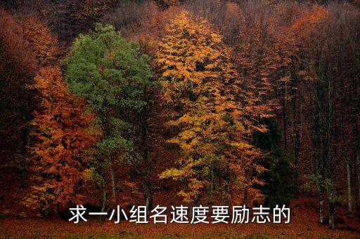 小組名，給小組起一個好聽的名字