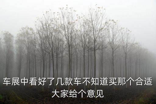 車展中看好了幾款車不知道買那個合適大家給個意見