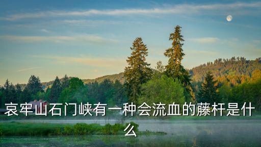 哀牢山石門峽有一種會(huì)流血的藤桿是什么