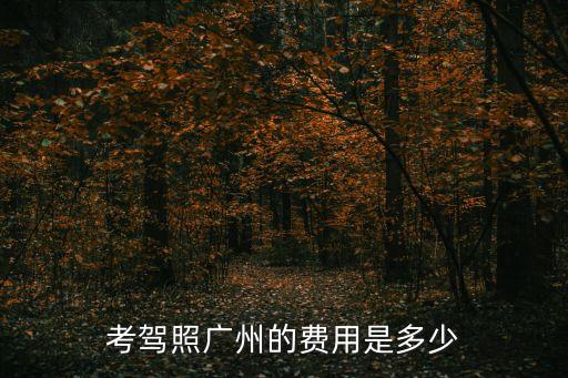 廣州星火駕校報名費，星火駕校3000包過貴嗎