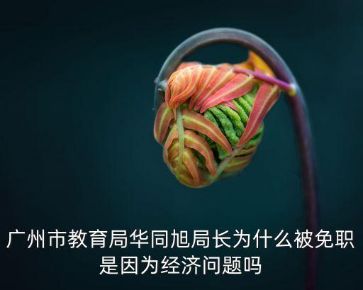 廣州教育局最新事件，今天居然接到通知不用補課我廣東高三的教育局怎么突然停止呢