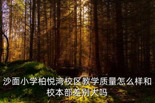 沙面小學柏悅灣校區教學質量怎么樣和校本部差別大嗎