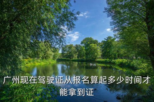 廣州現在駕駛證從報名算起多少時間才能拿到證
