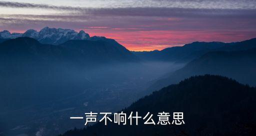 一聲不響什么意思