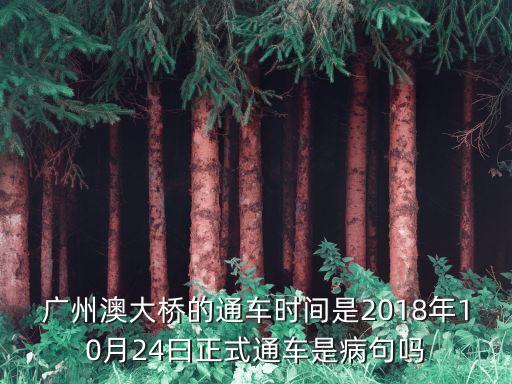 廣州洪奇瀝大橋通車時間，廣州輕鐵在中山境內有幾個車站