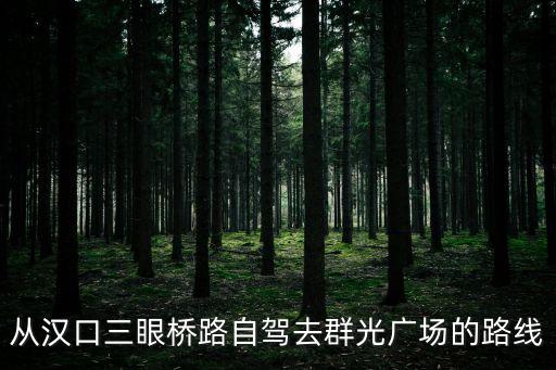 從漢口三眼橋路自駕去群光廣場(chǎng)的路線