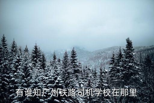 廣州鐵路在哪培訓，有誰知廣州鐵路司機學校在那里