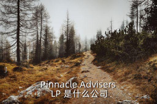廣州世邦投資顧問有限公司，Pinnacle Advisers LP 是什么公司