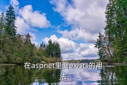 在aspnet里面exists的用法