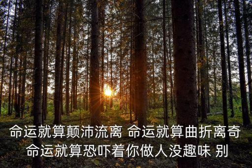 命運就算顛沛流離，命運就算顛沛流離什么歌曲