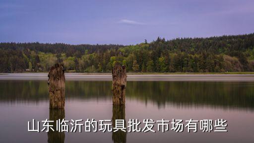 臨沂玩具批發市場，臨沂批發兒童玩具在什么地方