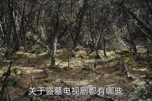 關于盜墓電視劇都有哪些