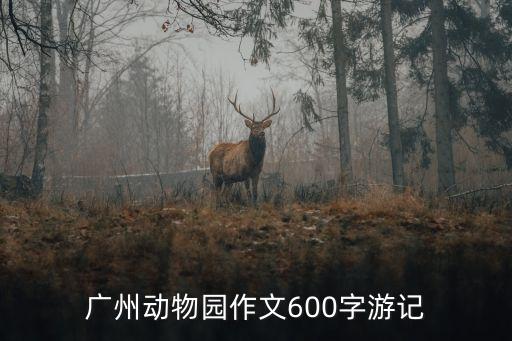 廣州動物園大象作文，和小象一起長大作文
