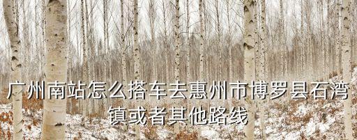 廣州南站到博羅發(fā)車時(shí)間，廣州南站怎么搭車去惠州市博羅縣石灣鎮(zhèn)或者其他路線