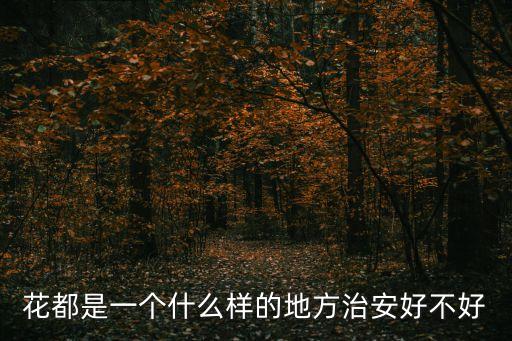 花都是一個(gè)什么樣的地方治安好不好