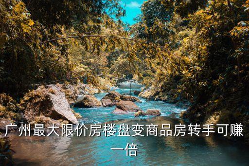 廣州最大限價房樓盤變商品房轉手可賺一倍
