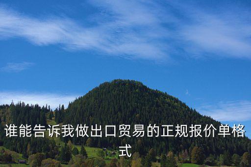 外貿報價單模板，新人求高手教下外貿報價單怎么寫