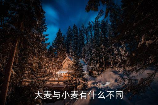 大麥麥，大麥與小麥有什么不同