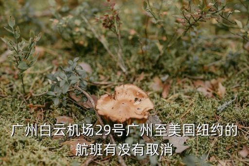 廣州白云機場29號廣州至美國紐約的航班有沒有取消