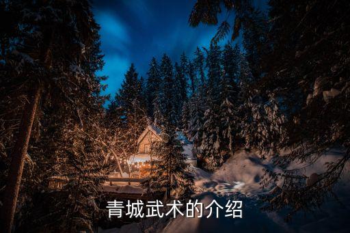 青城武術(shù)的介紹