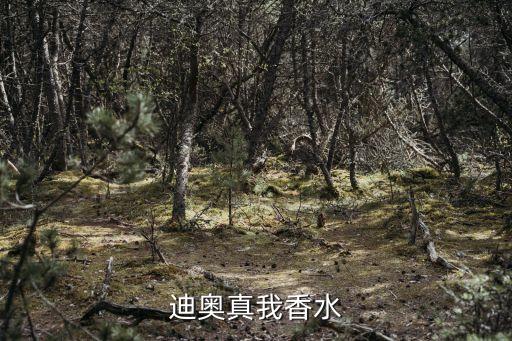 真我香水，dior真我香水多少錢(qián)