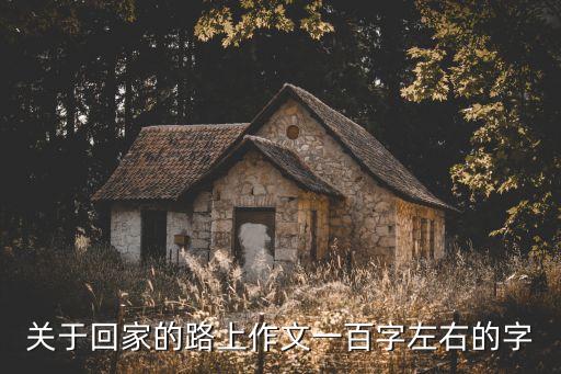 回家路上作文，求一篇 回家路上 的作文