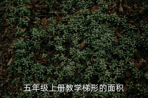 五年級(jí)上冊(cè)教學(xué)梯形的面積