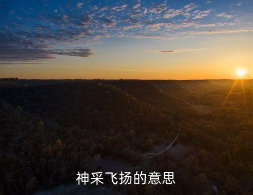 飛揚的意思，神采飛揚的意思