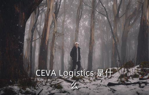 廣州洲際供應鏈管理有限公司，麒麟通寶老板是誰啊