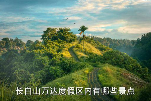 長白山萬達(dá)度假區(qū)，長白山萬達(dá)度假村需要幾天假夠玩啊