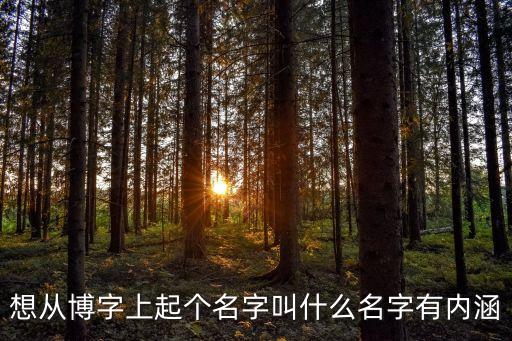 博字取名，我想給寶寶取一個帶博的名字麻煩給想一下