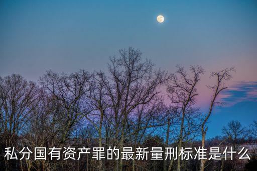 私分國(guó)有資產(chǎn)罪，認(rèn)定私分國(guó)有資產(chǎn)罪后會(huì)被怎樣判刑