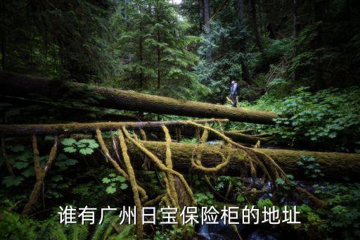 廣州日寶發生意外，誰有廣州日寶保險柜的地址
