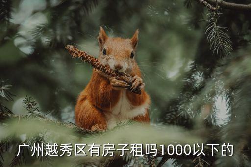 廣州越秀區(qū)有房子租嗎1000以下的
