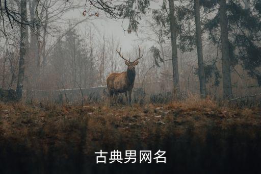 古風男網名，求男性 原創古風網名 越多越好