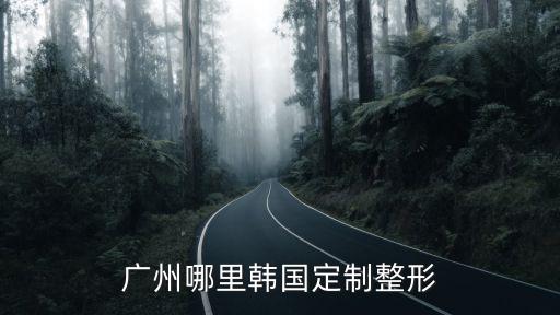 廣州入戶房屋備案積分，廣州哪里韓國定制整形