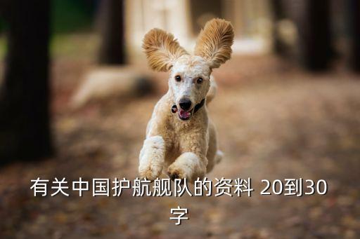 廣州號護衛艦簡介，廣州號大約幾億一艏