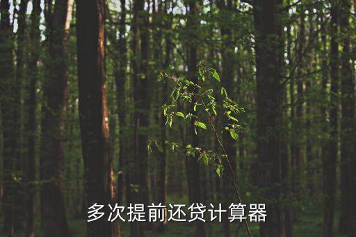 多次提前還貸計(jì)算器