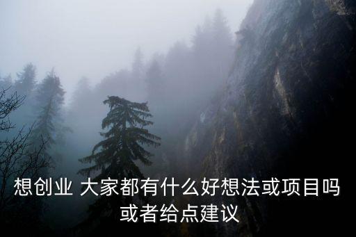 創(chuàng)業(yè)想法，大家對(duì)于創(chuàng)業(yè)有什么好的想法嗎