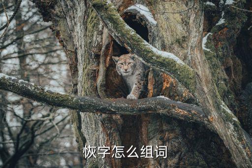 恢字組詞，恢復的恢可以組什么詞