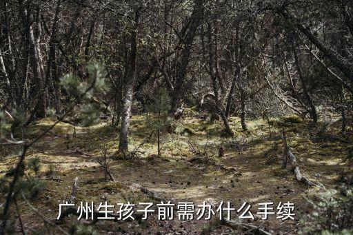 廣州市生孩子流程，外地戶口在廣州生孩子需要辦理哪些手續生育保險如何辦理如何